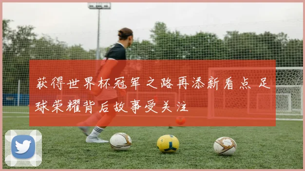 获得世界杯冠军之路再添新看点 足球荣耀背后故事受关注